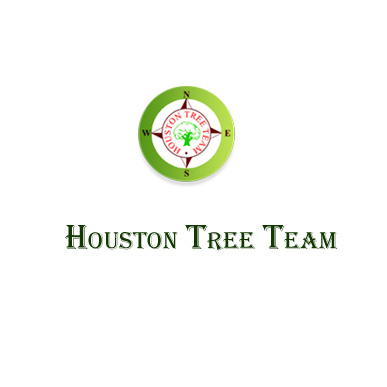 Houston Tree Team